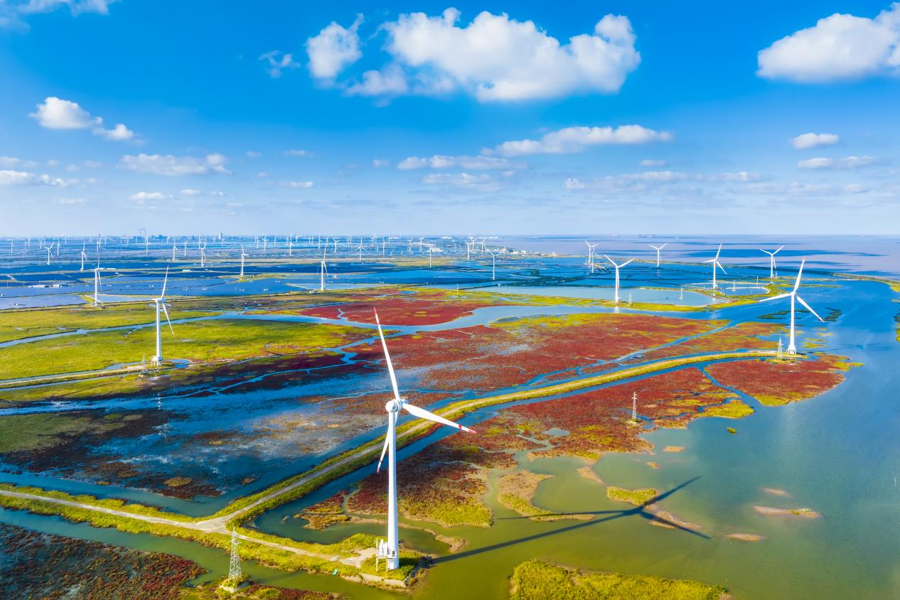 ��ͨ����԰��